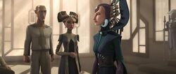 Padme mandalore