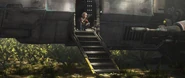 War-Mantle Omega.jpg (278 KB)