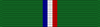 LAPD-Lifesaving-Medal