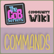 « Commands & Keys »