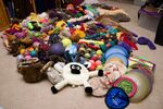 CRW 3225DogToys lv-704145
