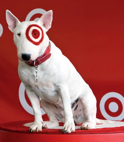 what does the target dog look like