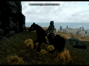 Skyrim Horse