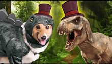 The Hat.png