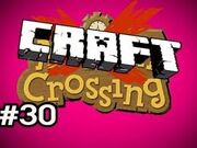 Craftcrossing.jpg