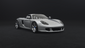 TC2PorscheCarreraGT.png