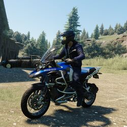 The crew bikes cheap