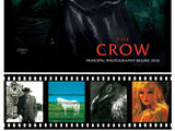 The Crow (reboot)