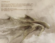 Xinthian Tensile Aeranothaur Luke Frost