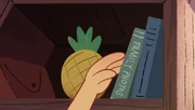 Molly tipping her books so that they are more aesthetically pleasing.