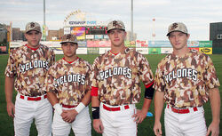 Sandy the Seagull (Brooklyn Cyclones), SportsMascots Wikia