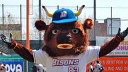 Buster Bison