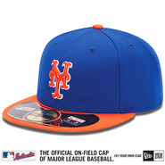 The 2013 blue and orange two-tone cap.