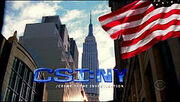 CSI Ny