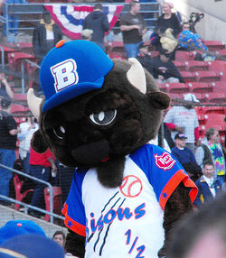 Buffalo Bisons, New York Mets Wiki