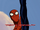 Great Responsibility