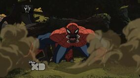 The savage spider-man