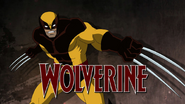 Wolverine