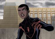 Miles Morales