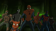 Spider-Man and the Web Warriors USMWW