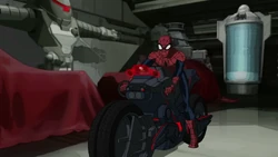 The Spider-Cycle