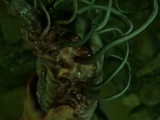 Alien Parasite