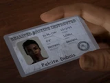 Fliss's License