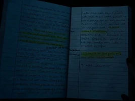 Page 3 and 4