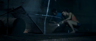 BradAndFliss'Inspection