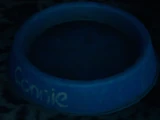 Connie's Bowl
