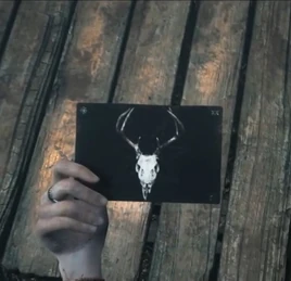 Overview