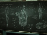 Anatomy Chalkboard
