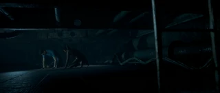 BradAndFlissExhausted