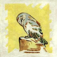 Owl 2 Dunsmore Tiles Polly Brace c1930 Minton Blank