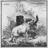 Two dogs with a dead hare