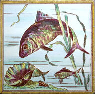 Fish 4