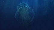 Monumental jelly fish