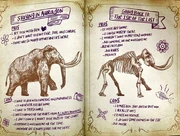 Pros and Cons of Staying or Going