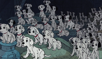 Dalmatians