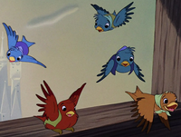 Cinderella's birds