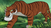 Shere Khan
