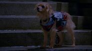 Dude in Descendants 2