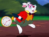 White Rabbit