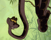 Kaa
