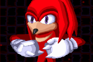 Exetior, Sonic.EXE: The Disaster 2D Remake Wiki