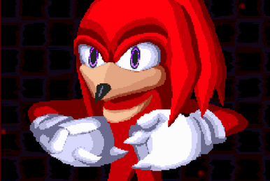 Sonic.EXE: The Disaster 2D Remake Wiki