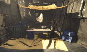 DZ Vendor