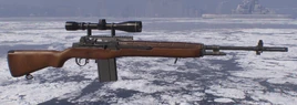 Classic M1A