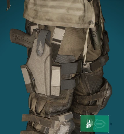 SC holster