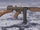 Thompson M1928